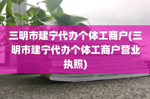 三明市建宁代办个体工商户(三明市建宁代办个体工商户营业执照)