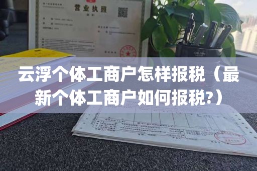 云浮个体工商户怎样报税（最新个体工商户如何报税?）