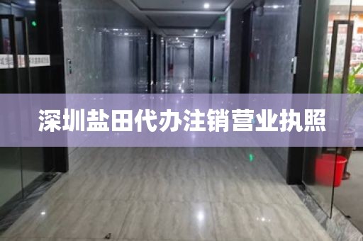 深圳盐田代办注销营业执照