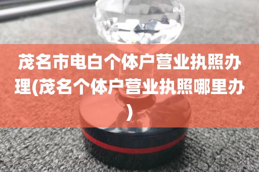 茂名市电白个体户营业执照办理(茂名个体户营业执照哪里办)