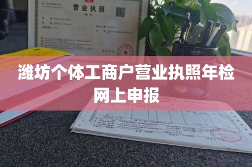 潍坊个体工商户营业执照年检网上申报