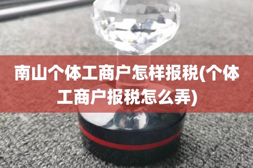 南山个体工商户怎样报税(个体工商户报税怎么弄)