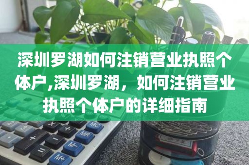 深圳罗湖如何注销营业执照个体户,深圳罗湖，如何注销营业执照个体户的详细指南