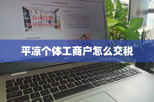平凉个体工商户怎么交税