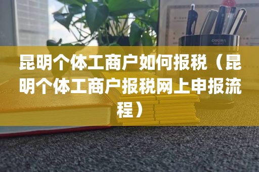 昆明个体工商户如何报税（昆明个体工商户报税网上申报流程）