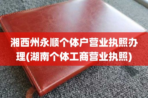 湘西州永顺个体户营业执照办理(湖南个体工商营业执照)