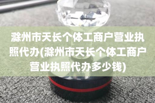 滁州市天长个体工商户营业执照代办(滁州市天长个体工商户营业执照代办多少钱)