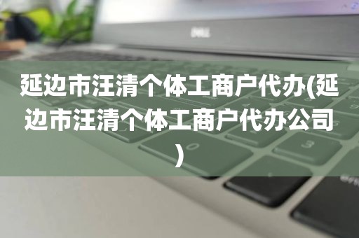 延边市汪清个体工商户代办(延边市汪清个体工商户代办公司)