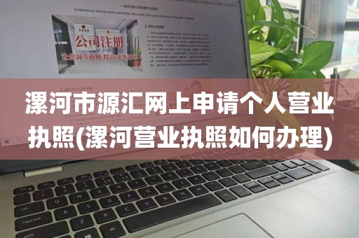漯河市源汇网上申请个人营业执照(漯河营业执照如何办理)