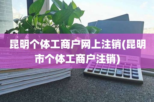 昆明个体工商户网上注销(昆明市个体工商户注销)