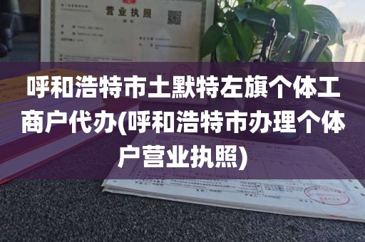 呼和浩特市土默特左旗个体工商户代办(呼和浩特市办理个体户营业执照)
