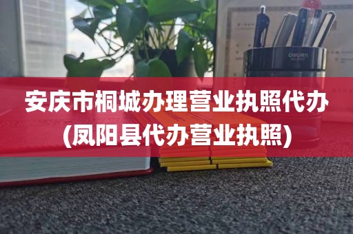 安庆市桐城办理营业执照代办(凤阳县代办营业执照)