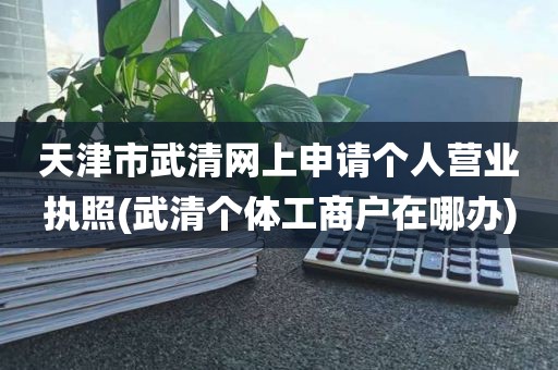 天津市武清网上申请个人营业执照(武清个体工商户在哪办)