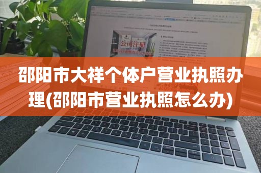 邵阳市大祥个体户营业执照办理(邵阳市营业执照怎么办)