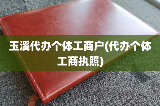玉溪代办个体工商户(代办个体工商执照)