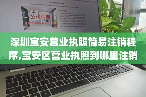 深圳宝安营业执照简易注销程序,宝安区营业执照到哪里注销