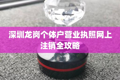 深圳龙岗个体户营业执照网上注销全攻略