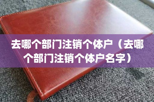 去哪个部门注销个体户（去哪个部门注销个体户名字）