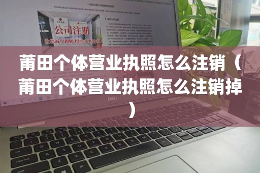 莆田个体营业执照怎么注销（莆田个体营业执照怎么注销掉）