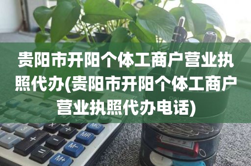 贵阳市开阳个体工商户营业执照代办(贵阳市开阳个体工商户营业执照代办电话)