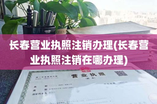 长春营业执照注销办理(长春营业执照注销在哪办理)