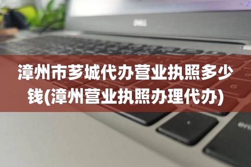 漳州市芗城代办营业执照多少钱(漳州营业执照办理代办)