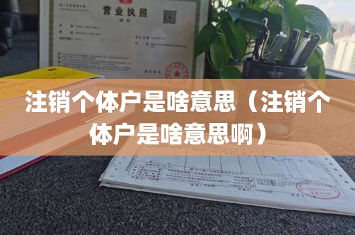 注销个体户是啥意思（注销个体户是啥意思啊）