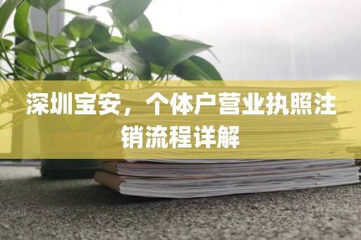 深圳宝安，个体户营业执照注销流程详解