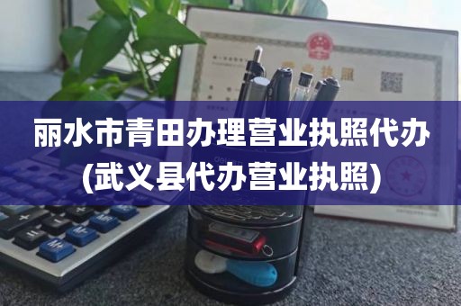 丽水市青田办理营业执照代办(武义县代办营业执照)