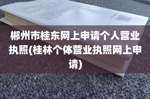 郴州市桂东网上申请个人营业执照(桂林个体营业执照网上申请)