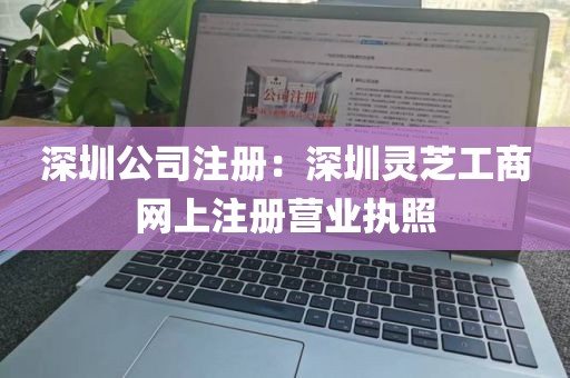 深圳公司注册：深圳灵芝工商网上注册营业执照