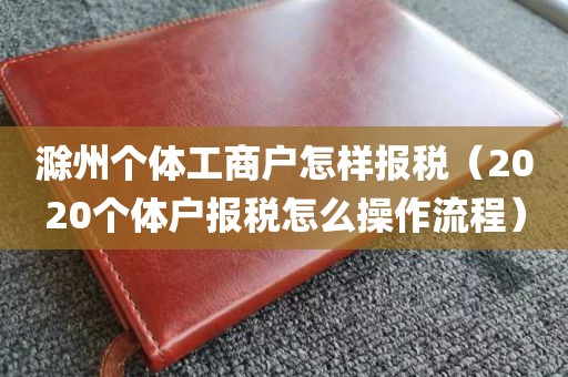 滁州个体工商户怎样报税（2020个体户报税怎么操作流程）