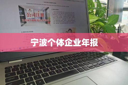 宁波个体企业年报