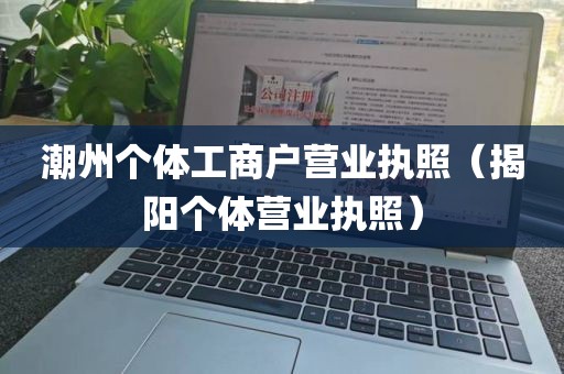 潮州个体工商户营业执照(揭阳个体营业执照)