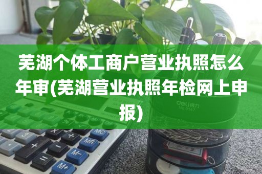 芜湖个体工商户营业执照怎么年审(芜湖营业执照年检网上申报)