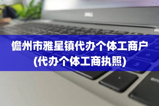 儋州市雅星镇代办个体工商户(代办个体工商执照)