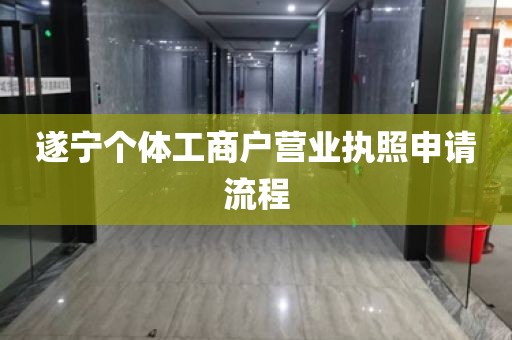 遂宁个体工商户营业执照申请流程