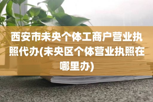 西安市未央个体工商户营业执照代办(未央区个体营业执照在哪里办)