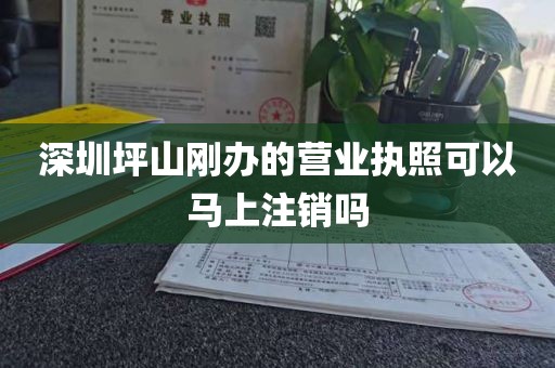 深圳坪山刚办的营业执照可以马上注销吗