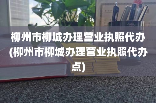 柳州市柳城办理营业执照代办(柳州市柳城办理营业执照代办点)