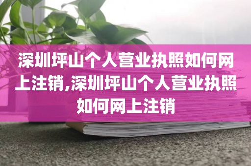 深圳坪山个人营业执照如何网上注销,深圳坪山个人营业执照如何网上注销