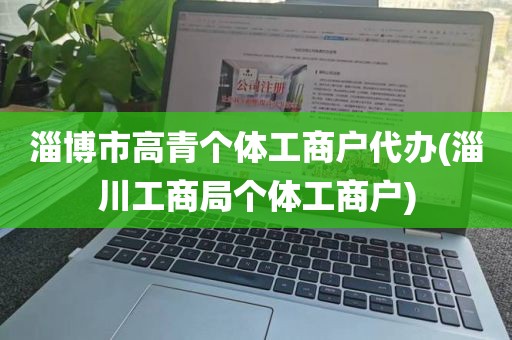 淄博市高青个体工商户代办(淄川工商局个体工商户)