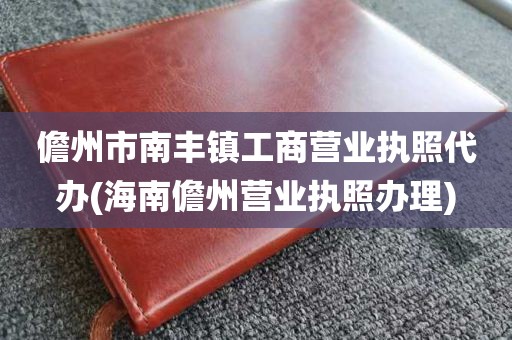 儋州市南丰镇工商营业执照代办(海南儋州营业执照办理)