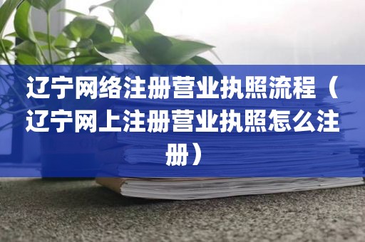 辽宁网络注册营业执照流程（辽宁网上注册营业执照怎么注册）