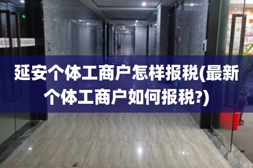 延安个体工商户怎样报税(最新个体工商户如何报税?)