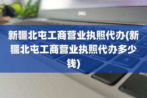 新疆北屯工商营业执照代办(新疆北屯工商营业执照代办多少钱)
