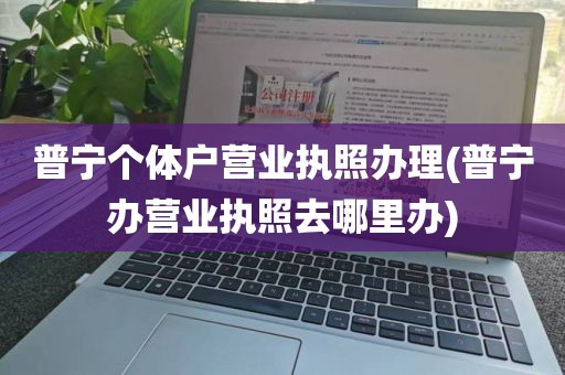 普宁个体户营业执照办理(普宁办营业执照去哪里办)