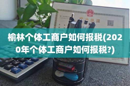 榆林个体工商户如何报税(2020年个体工商户如何报税?)
