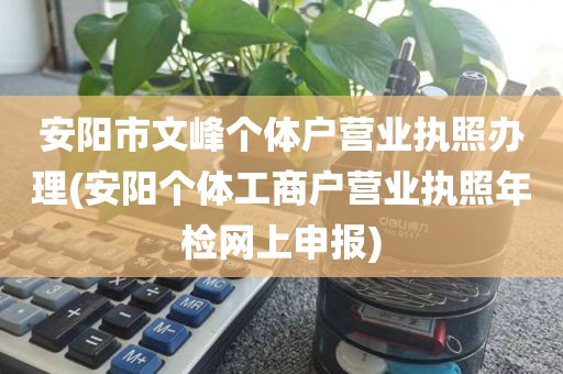 安阳市文峰个体户营业执照办理(安阳个体工商户营业执照年检网上申报)