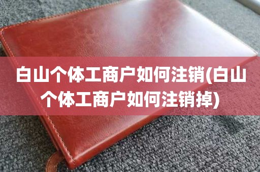 白山个体工商户如何注销(白山个体工商户如何注销掉)